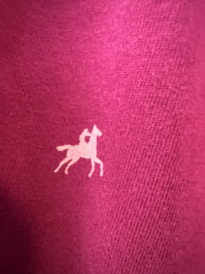 Niñas Talla 4T Vestido Ecuestre Caballos Rodeo Púrpura Lila Otoño Vestido Caballo Vestido Foto 4 de 4