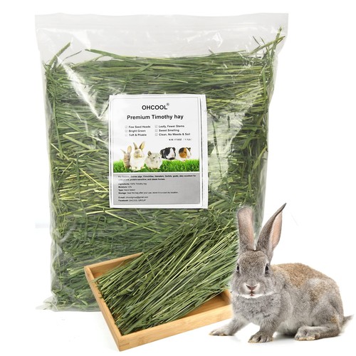 Timothy Hay 1.1LB - Dust Free Natural Green Fresh Food Hay for Rabbits ... - Timothy Hay For Rabbits With Asthma