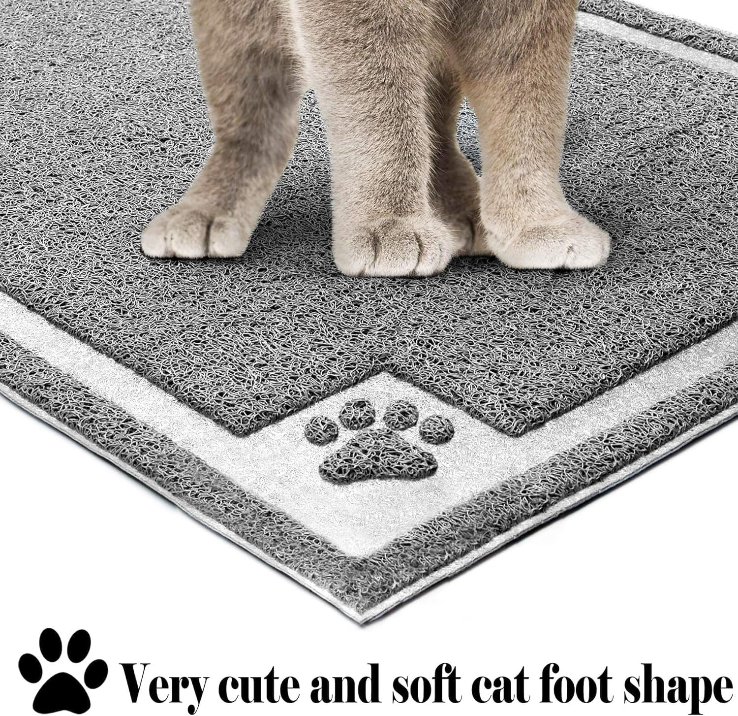 And Paws Scatter Control