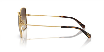 Gafas de sol Dolce&Gabbana DG2242 41306