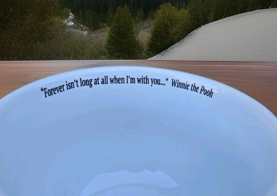 Tigela de café da manhã Disney Winnie The Pooh leitão tigre - Imagem 4 de 4