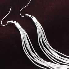Silver Tassel Dangle Hook Earrings W