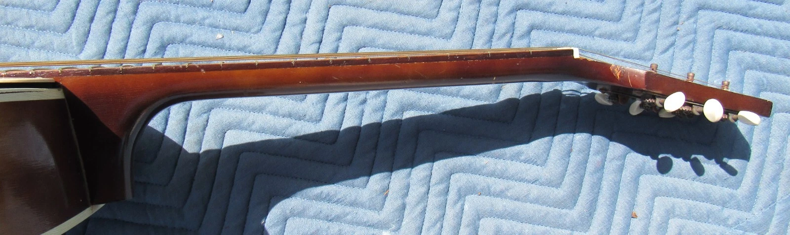 Picture 6 of 11