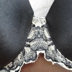 Bild 3 von 10