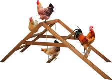 Chicken Coop Roosting Bars with Swing - Wooden Ladder for Backyard Poultry