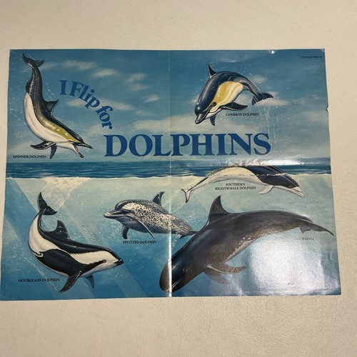 I Flip For Dolphins Double Sided Poster Bottlenose Dolphin 1991 Pygmy Spinner￼ - Afbeelding 1 van 15