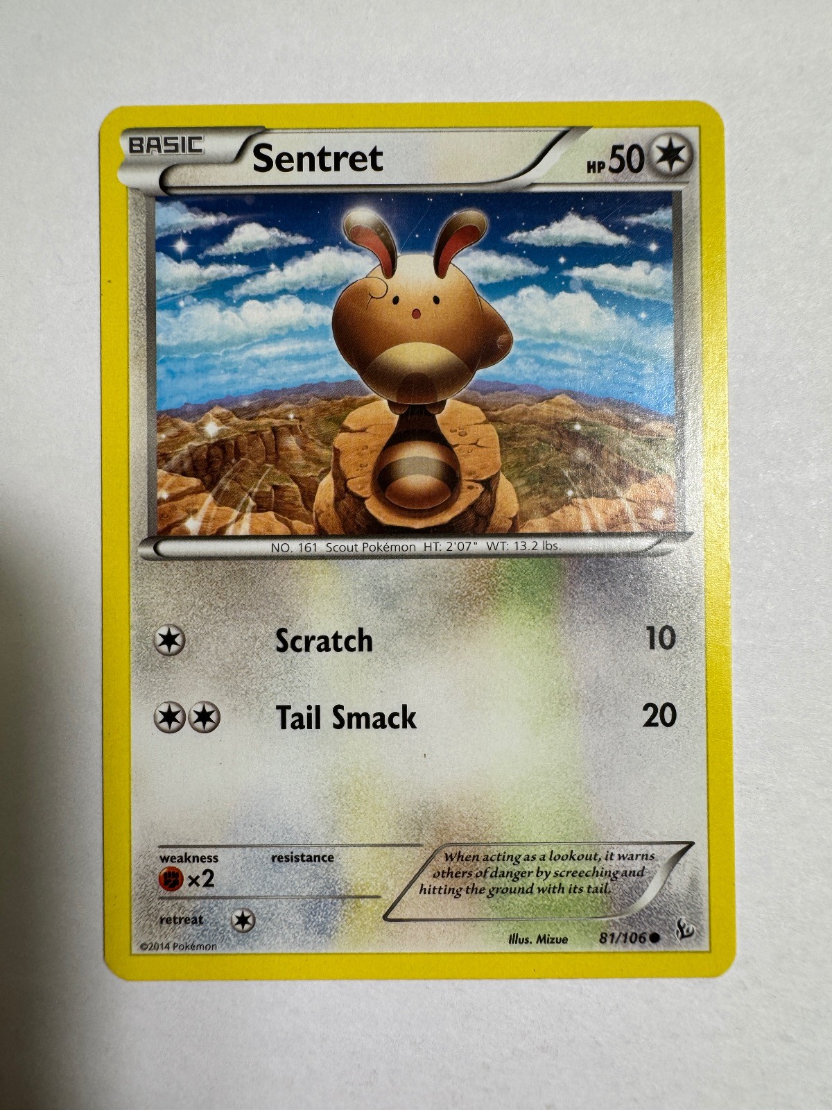 Sentret 81/106 Common Flashfire Pokemon Near Mint