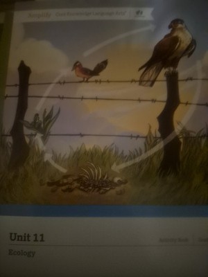 Ecology Amplify Core Knowledge Language Arts Grade 3 Unit 11 Activity Book