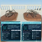 KARKINOS OREO PAIR BABY TOP STATUS ARK ASCENDED PVE PC/XBOX/PS5