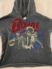 Junk Food David Bowie Hoodie Size 3T Toddler Pop Rock Music Sweatshirt