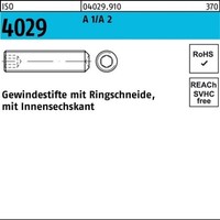 10Er Pack(Stk) 004029920000200030 Gewindestift Iso 4029 Ringschneide/Innen-6-Ka