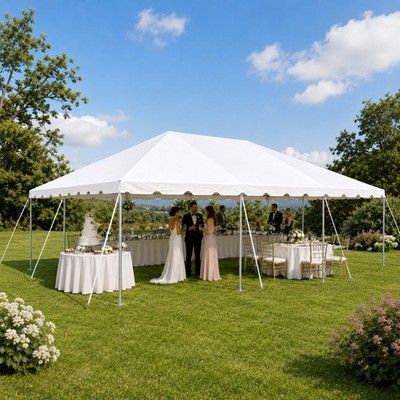 20 x 30 Canopy Party Tent White Commercial Backyard Event Gazebo with Frame