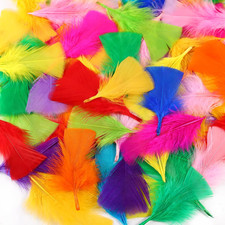 Colorful Craft Turkey Feathers - 300Pcs 3-5Inch Colored Feathers for Kindergarte