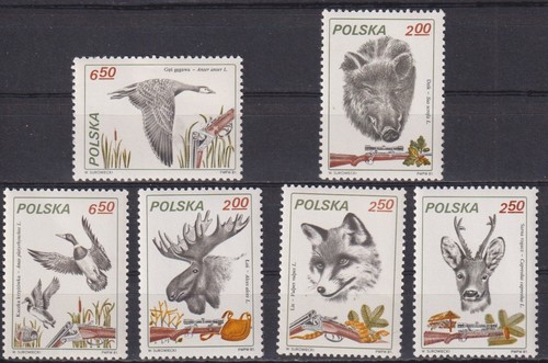 C1110 - Polska, Polen, Poland - 1981 - MNH - Animal / Tiere