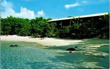 Caneel Bay Plantation Virgin Islands National Park Turtle Bay Postcard