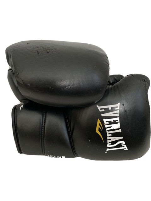 everlast protex2 training boxing gloves