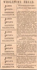 James Pyle's Saleratus Dietetic Saleratus NY 1859 New York Clipping TAJ3-M13
