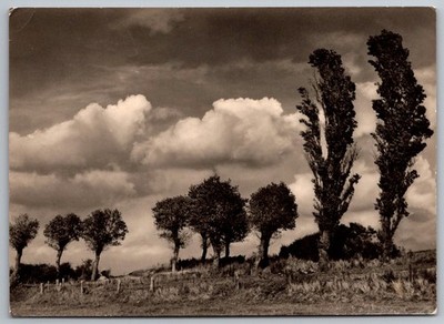 Ostseebad Kühlungsborn RPPC Weg nach Heiligendamm East Germany c.1960s Trees