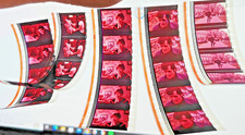 the exorcist 1973 banned  35 mm 5 x 5 rare film slide cell sets original set 49