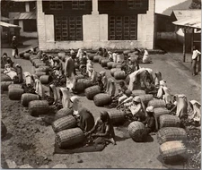 India, Workers, Harvest, Flowers, Saffron, Spices Vintage Print, Silver Print
