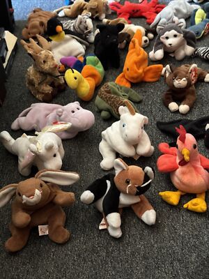 79 TY BEANIE BABIES: Baby Bear Pouch Cat Dog Collection Pouch