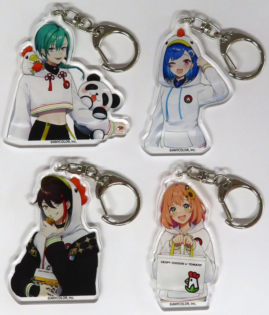 Keychain Full Set of 4 Types 