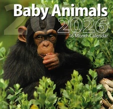 2026 Baby Animals 16-month (Sept 2025 through Dec 2026) 12"x12" Wall Calendar