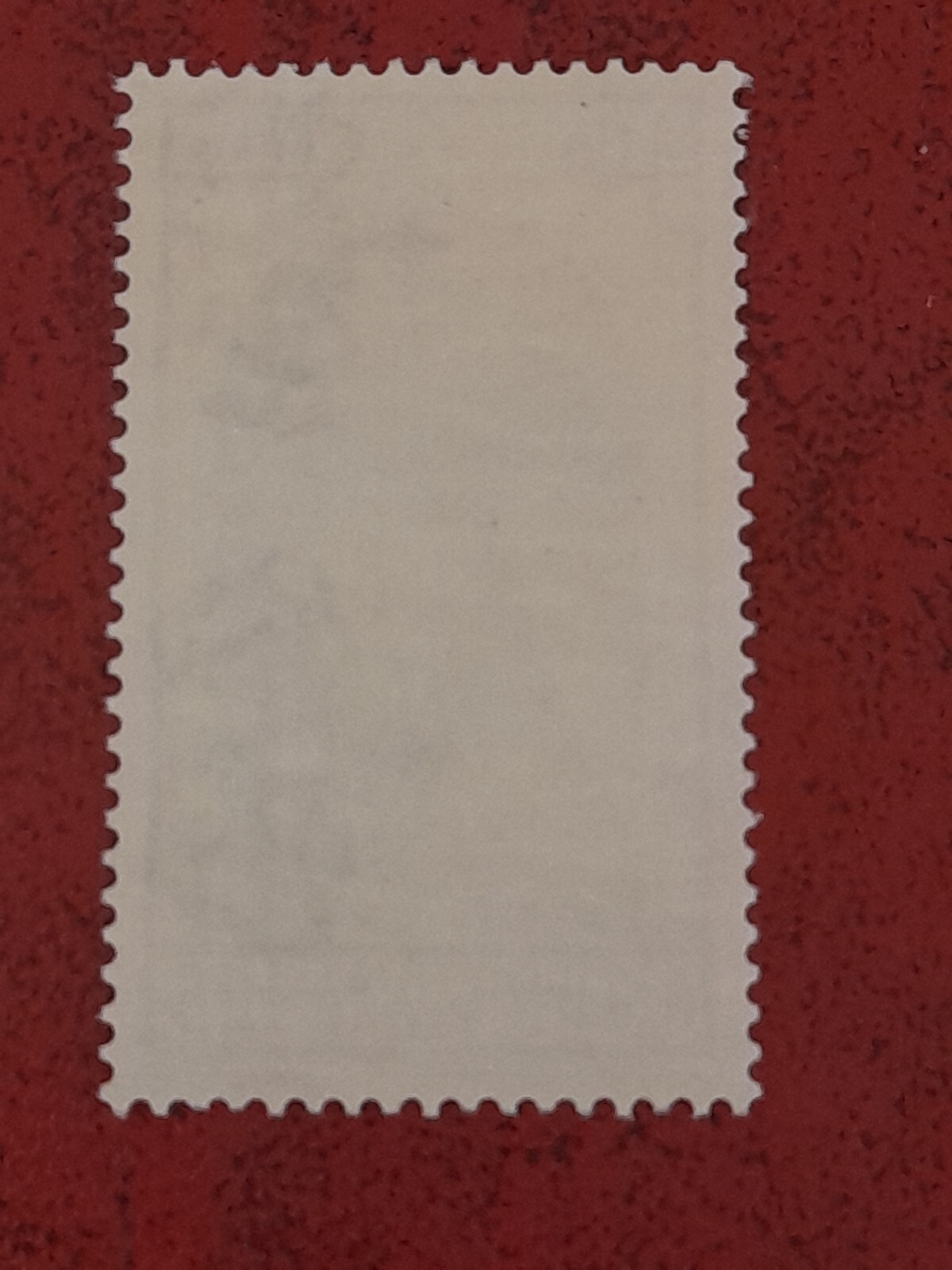 Foto 2 di 3