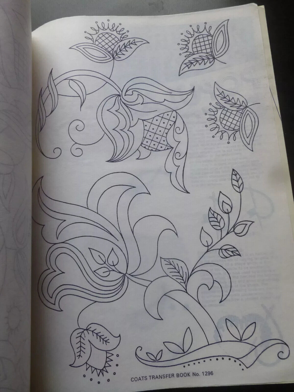 Picture 2 of 5