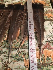 9 Real Turkey Tail Feathers 14