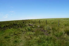 Photo A2 Boggy path on The Chains Simonsbath This is summer and the bogs c2017