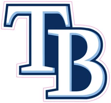 (NOT A PATCH) Tampa Bay Rays HTV Heat Press Transfer Vinyl Iron On