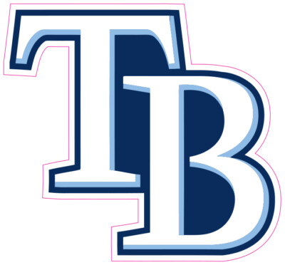 (NOT A PATCH) Tampa Bay Rays HTV Heat Press Transfer Vinyl Iron On