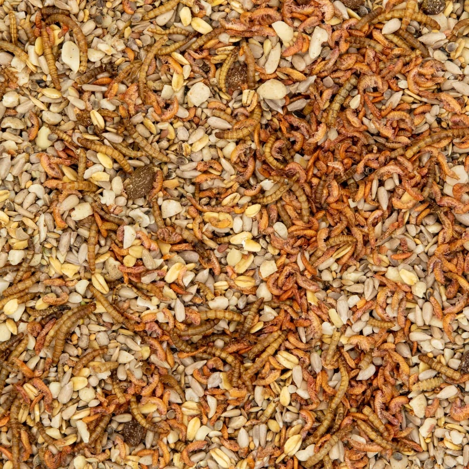 Vogelfutter Wildvogelfutter Phönix Brutzeit Aufzucht Premiumqualität Pauls Mühle - Bild 3 von 4