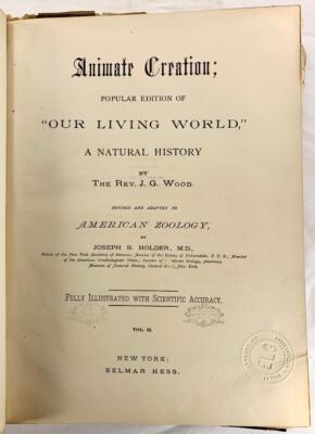 Animate Creation Book Volume 2 Birds 1885 J G Wood Joseph Holder