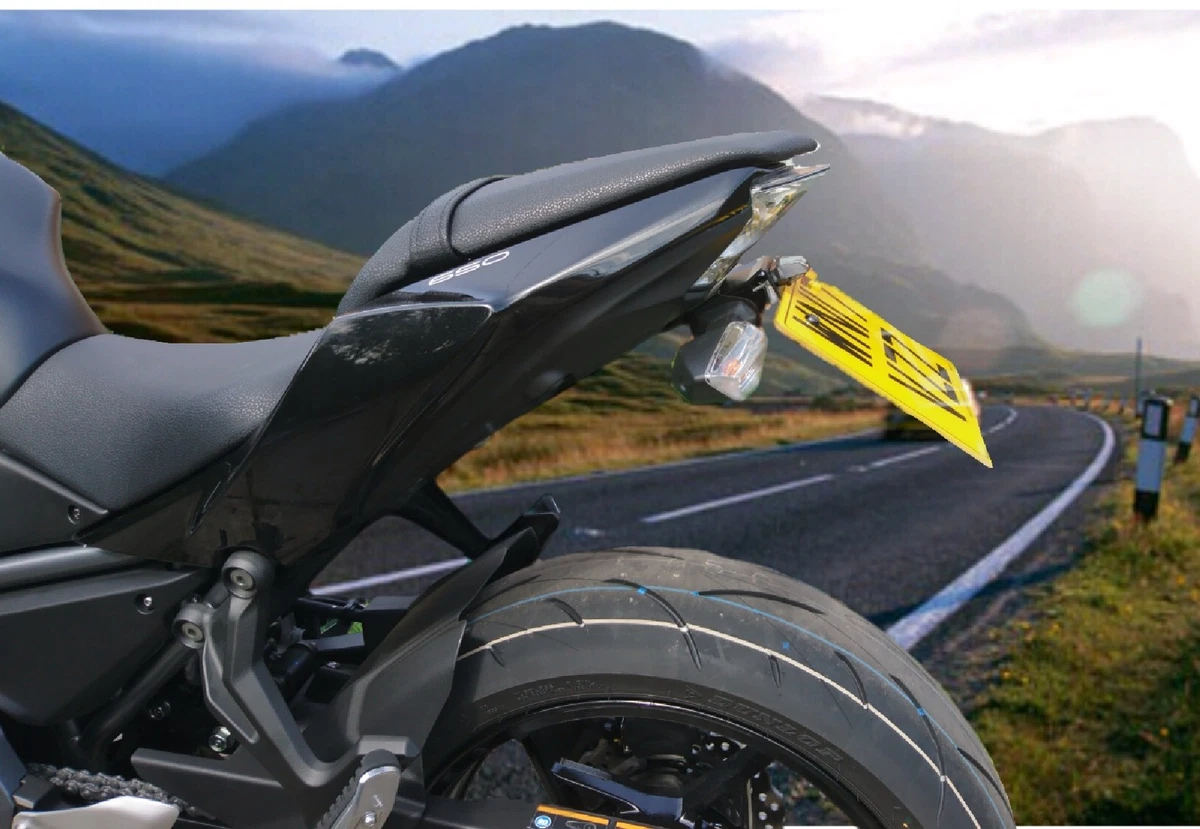 Kawasaki z650 2024 fender eliminator