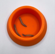 Reptile Insect Food Bowl- No Escape 