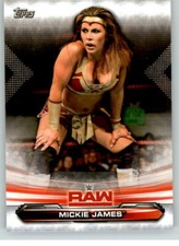 2019 WWE Raw #49 Mickie James