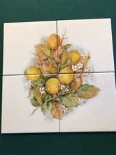 Peach 4 Piece Tile Mural or Backsplash. LARGE 5 7/8" tiles. Never installed WR
