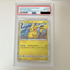 Pikachu #276/SM-P Prices | Pokemon Japanese Promo | Pokemon Cards