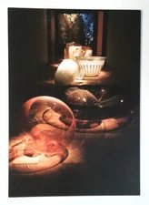 Dale Chihuly Baskets Art Glass Photochrome Postcard Morean Arts Center 5 x 7"h