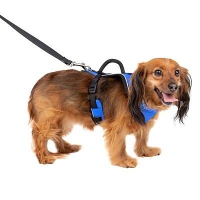 PetSafe EasySport Dog Harness   Adjustable, Padded Dog Harness with Control