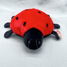 Lady Bug Plush Lucky Red Black 1999 10" Stuffed Toy Vintage TY Beanie Buddy