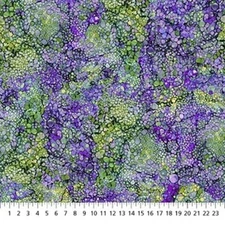 Bliss By Northcott Fabrics - Pansy  #DP23887-82