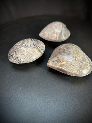 Picasso Jasper Bundle - 2 Chunky Hearts + 1 Chunky Palmstone 12.2oz Total Weight