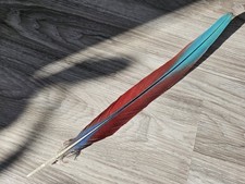 46 cm Feder 💙❤ Papageienfeder  Ara Vogelfeder Schwanzfeder blau-rot 