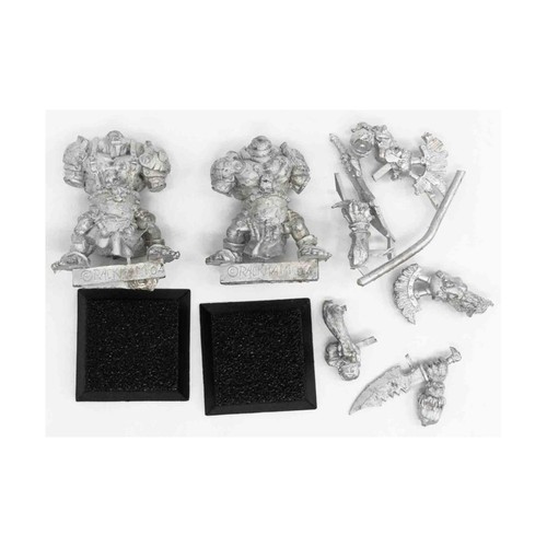 WARHAMMER FANTASY ORCS GW SHAMAN ORC ON CONFRONTATION BRONTOPS plastic