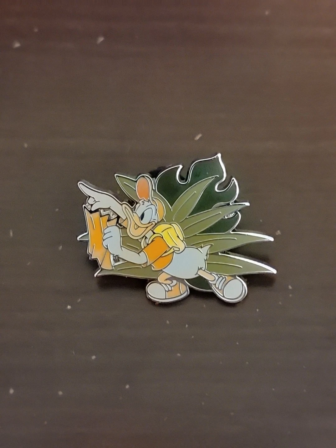Disney Pin 164471 WDW - Safari Donald Reading Map - Animal Kingdom Mystery