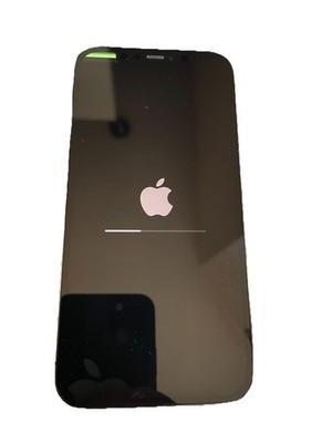 iPhone 12 Pro 128GB Graphit
