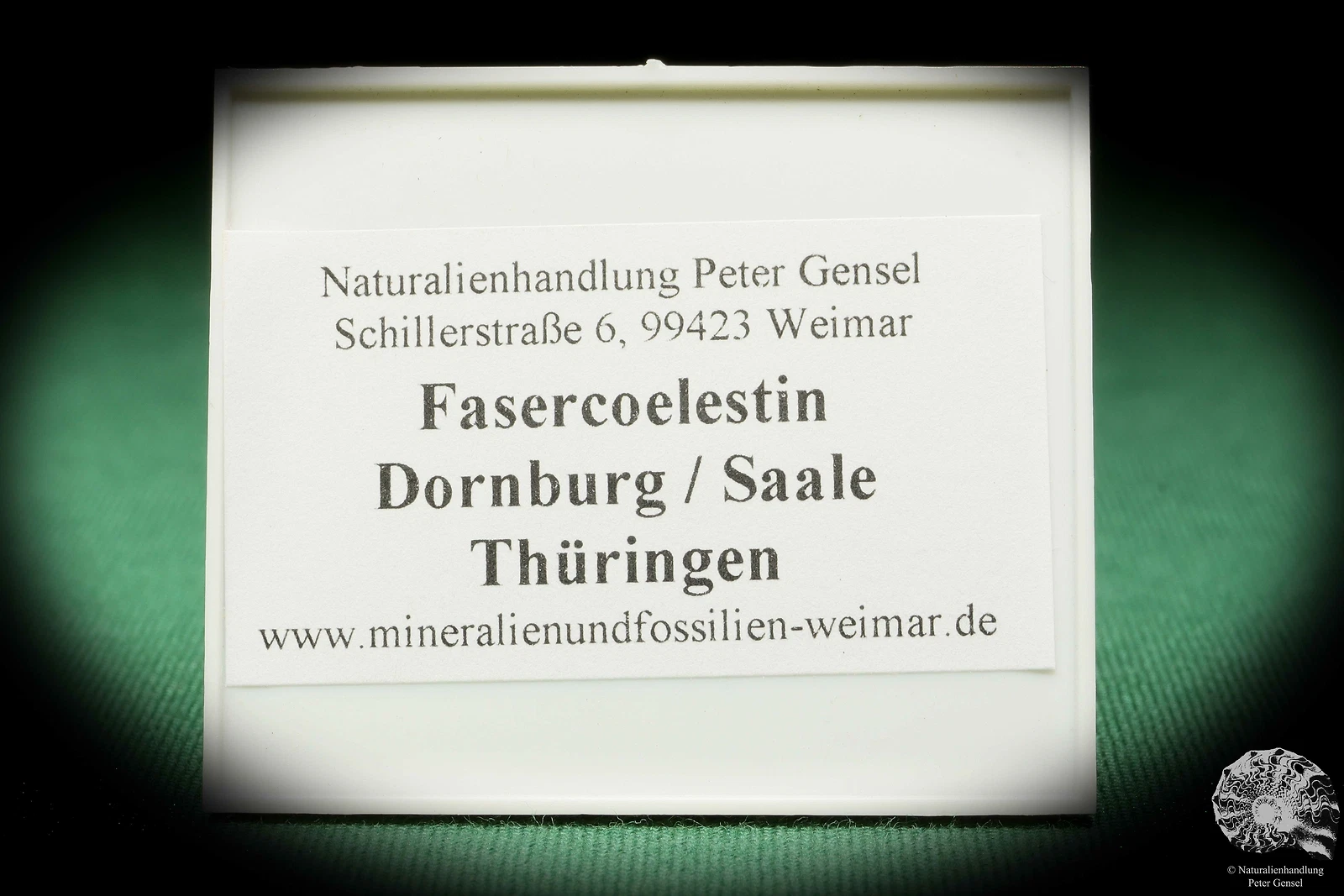 Bild 4 von 4